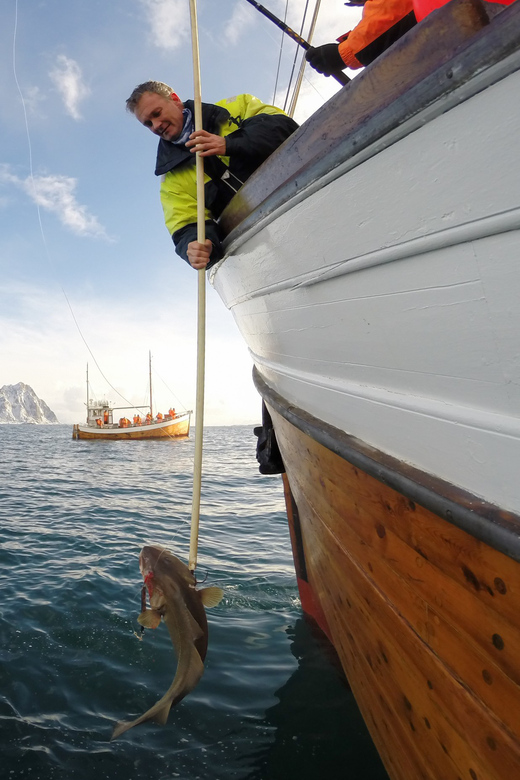 Lofoten: Traditional Fishing Trip - Key points to know before you sail