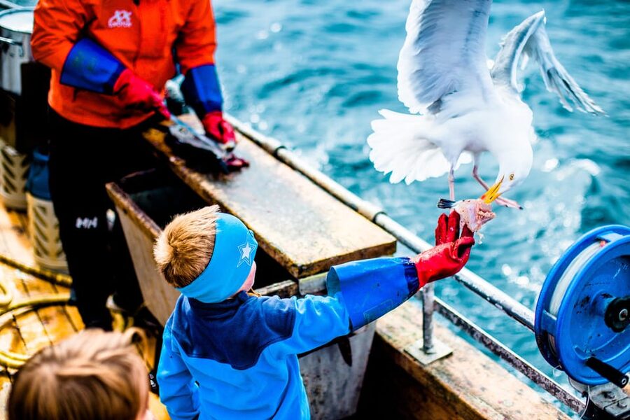 Lofoten: Traditional Fishing Trip - Weather, clothing, and comfort on deck