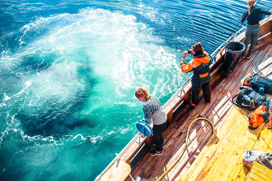 Lofoten: Traditional Fishing Trip - Is $146 a fair price?
