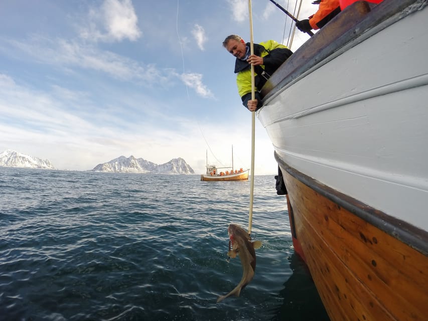 Lofoten: Traditional Fishing Trip - Four hours on the water, from gear to catch