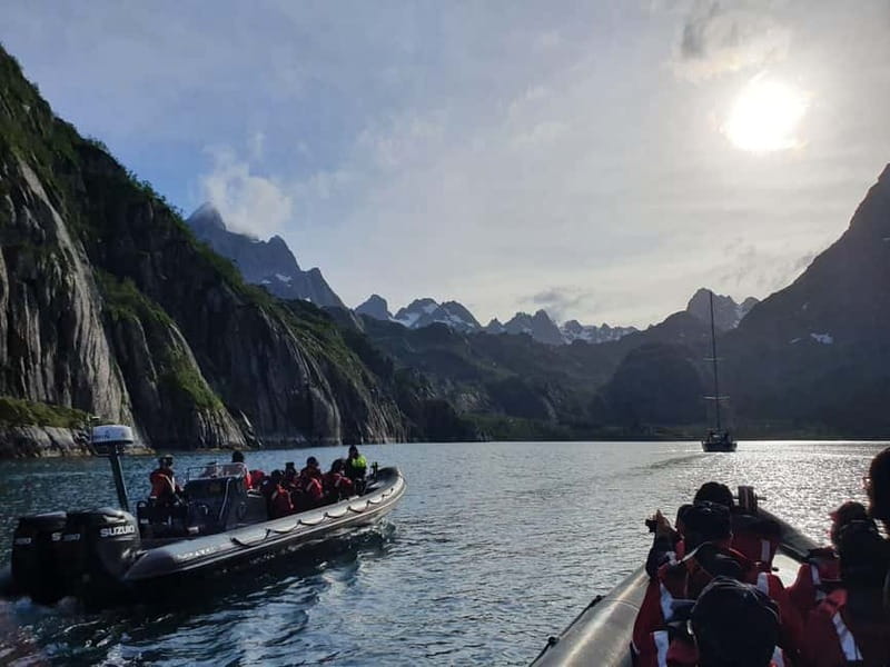Lofoten: Trollfjord Sea Eagle Safari by RIB Boat - Why the RIB ride works so well in Lofoten