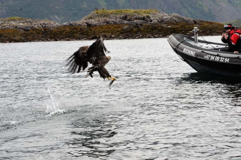 Lofoten: Trollfjord Sea Eagle Safari by RIB Boat - The gear, comfort, and safety tradeoff
