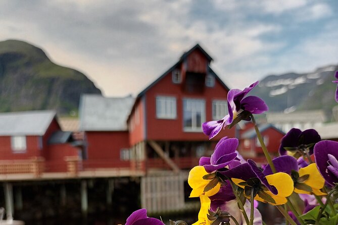 Lofoten VIP PRIVATE Tour from Leknes city / port - Why this private Lofoten day works well