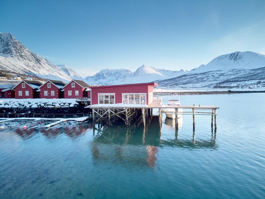 Lyngen: Snowmobile Safari with Lunch in seaside Restaurant - Returning to the seaside village