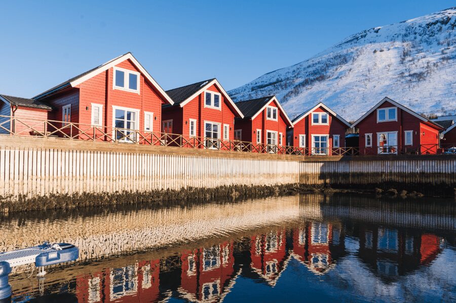 Lyngen: Snowmobile Safari with Lunch in seaside Restaurant - Who will enjoy this most?