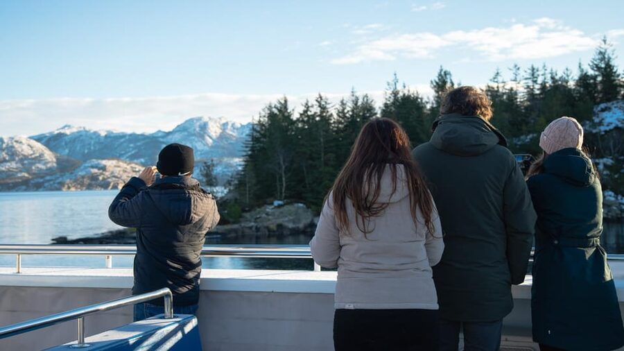 Lysefjorden cruise & Preikestolen guided hike - winter - Key points at a glance