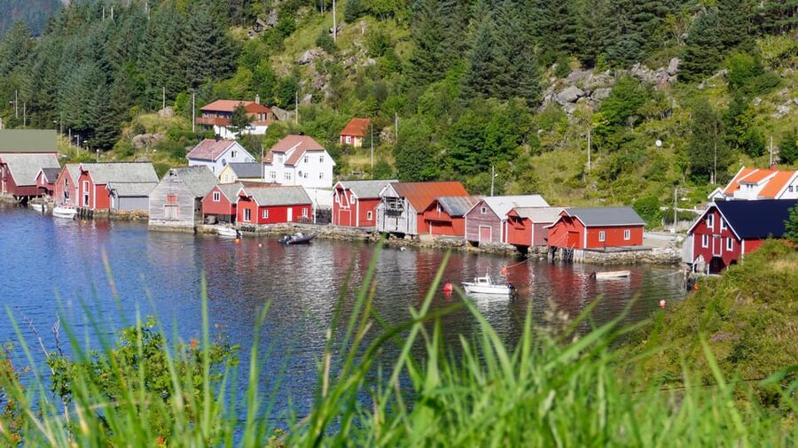 Måløy: Electric Minibus Tour to Kannesteinen - Torskangerpollen and the traces of coastal life