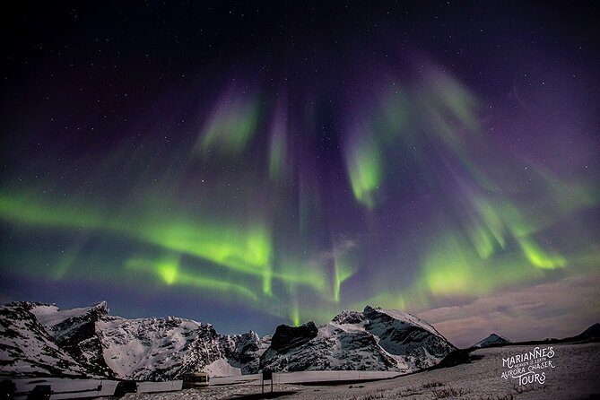 Marianne’s Heaven On Earth Aurora Chaser Tours - Warm clothing, dinner, and the value of comfort