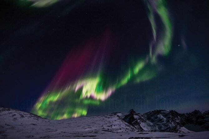 Marianne’s Heaven On Earth Aurora Chaser Tours - Who will enjoy this tour most?