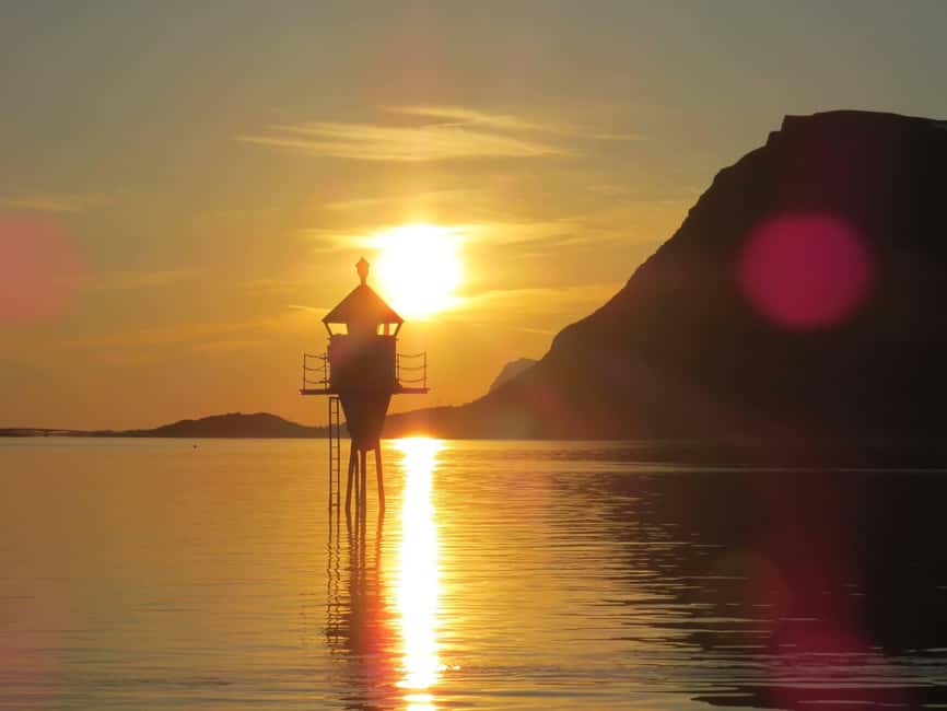 Midnight sun safari - Looking for Sea Eagles, Seals, Puffins, and Whales