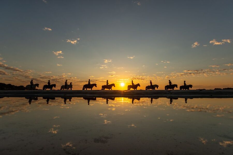 Midnight sun tour - From a gentle climb to wide coastal views