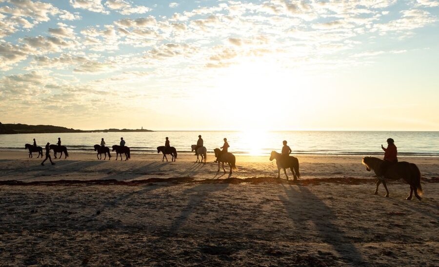 Midnight sun tour - Who will enjoy this ride most