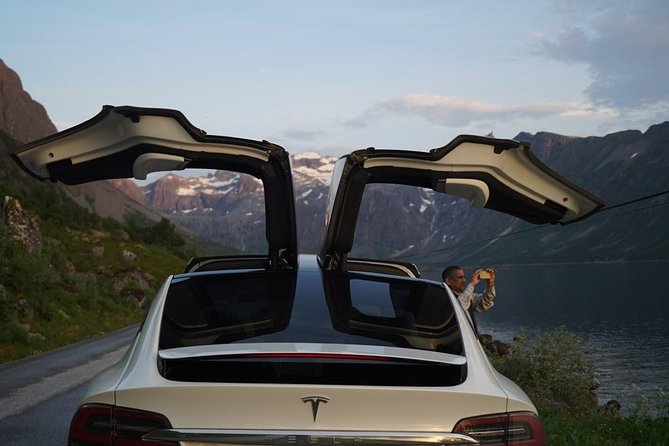 Midnightsun- Eco friendly Tesla Model X - The Tesla Model X is part of the appeal
