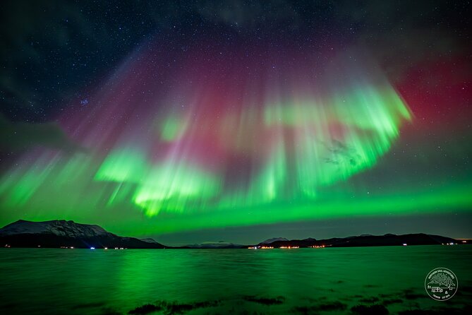 Minibus Northern Lights Chase with Photography from Tromsø - Key points to know before booking