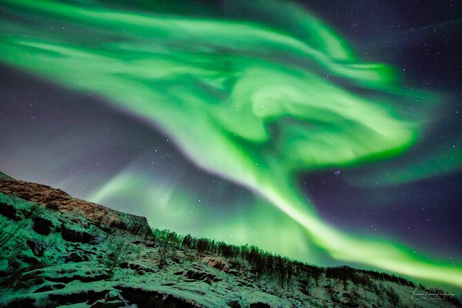 Minivan Northern Lights excursion (8 guests per minivan) - Sommarøy, fjords, and scenic foregrounds