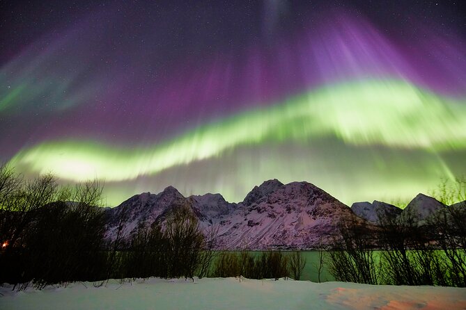 Minivan Northern Lights excursion (8 guests per minivan) - Skibotn and the road toward Finland