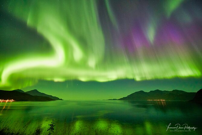 Minivan Northern Lights excursion (8 guests per minivan) - Pyhäouta and Keinovuopio