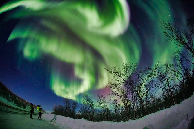 Minivan Northern Lights excursion (8 guests per minivan) - What the aurora may really look like