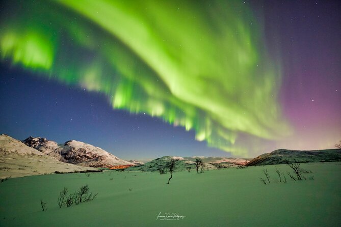 Minivan Northern Lights excursion (8 guests per minivan) - Warm suits, boots, and cold-weather comfort