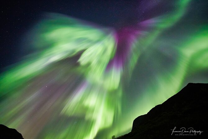 Minivan Northern Lights excursion (8 guests per minivan) - Hansnes and the value of changing position