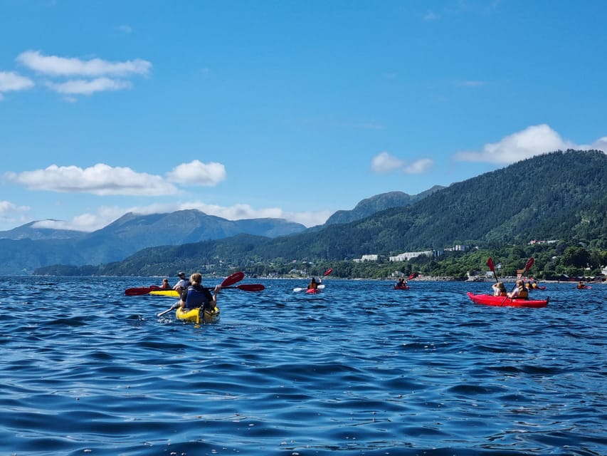 Molde - Guided kayak tour - Families, cruise stops, and timing