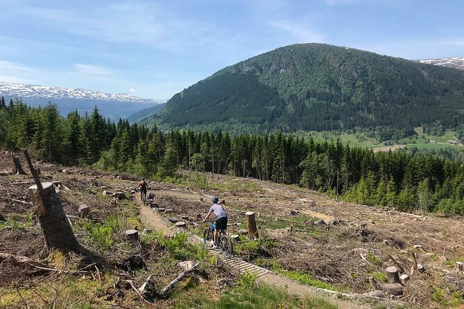 Mountain Bike - Voss Storålsen - The guide makes the difference