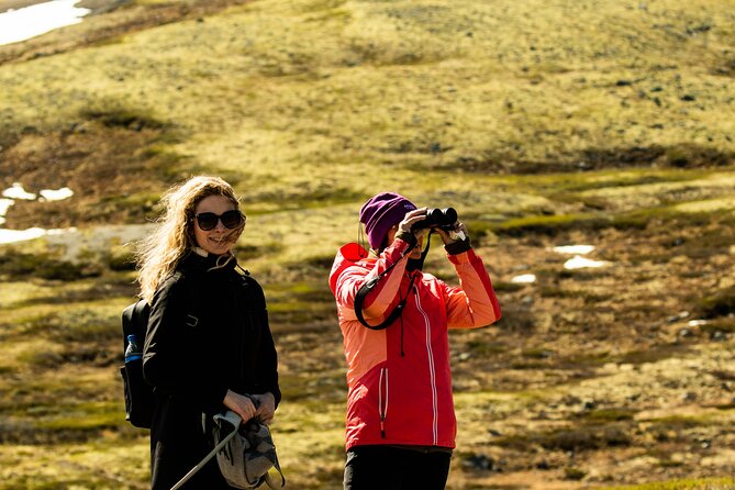 Muskox Safari from Hjerkinn | Dovre & Lesja Aktiv - The human side of the outing