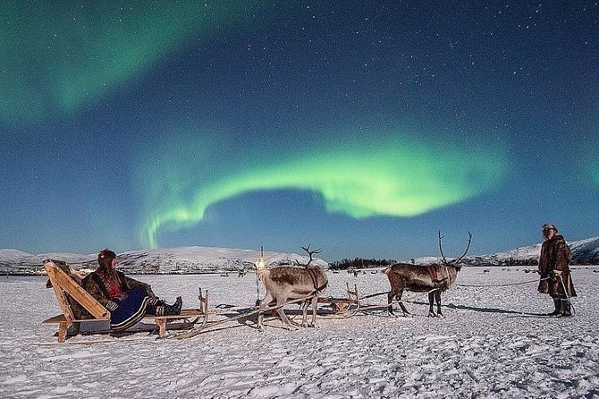 Night Reindeer Sledding with Camp Dinner and Chance of Northern Lights - Key points to know