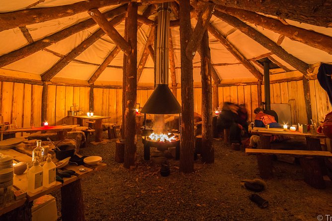 Night Reindeer Sledding with Camp Dinner and Chance of Northern Lights - Feeding reindeer among the herd