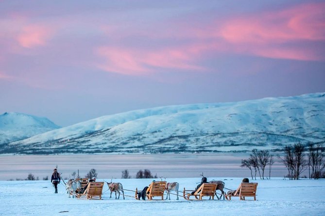Night Reindeer Sledding with Camp Dinner and Chance of Northern Lights - Who should book this Tromsø experience?