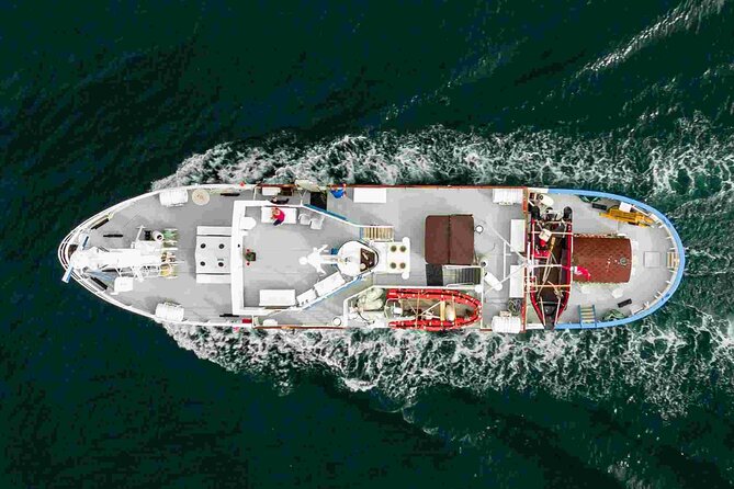 Northern Light cruise on the vintage vessel MS Strønstad - The Northern Lights factor
