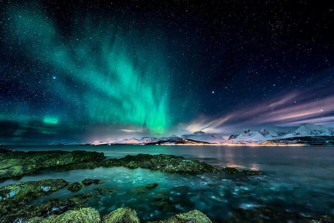 Northern light hunt in Tromsø. WiFi included - What the $182 price buys you in Tromsø