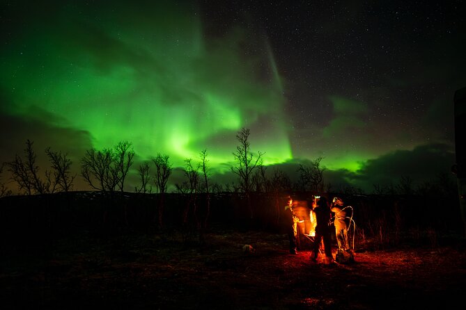 Northern light hunt in Tromsø. WiFi included - Meeting at Kaigata 4 and boarding the minibus