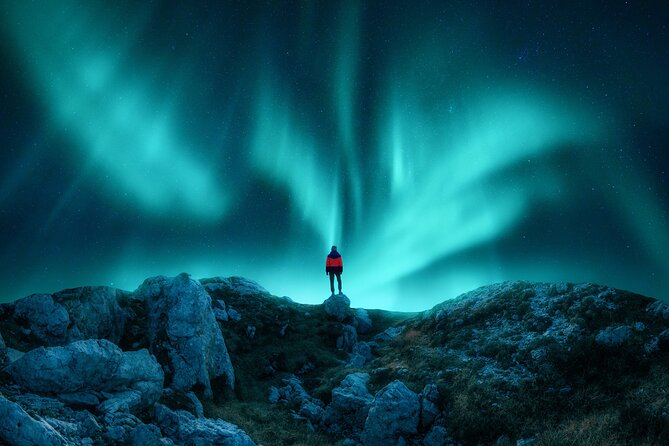 Northern light hunt in Tromsø. WiFi included - Making the most of each viewing stop