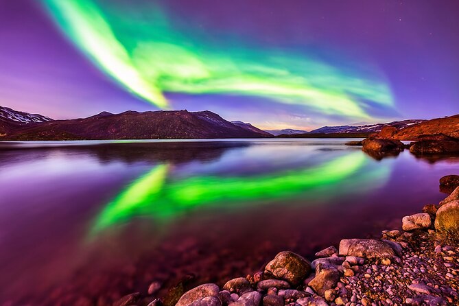 Northern light hunt in Tromsø. WiFi included - Language, comfort, and what can vary