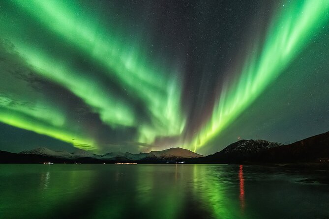 Northern Lights Adventure - Is $280.73 a fair price?