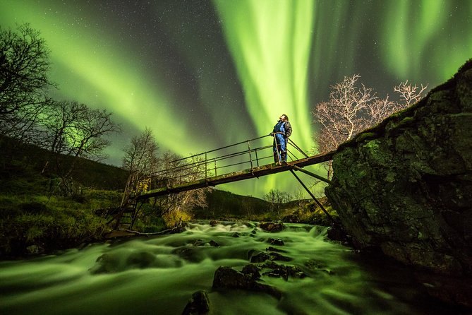Northern Lights Adventure with Greenlander, 8 people max - What happens when the aurora appears
