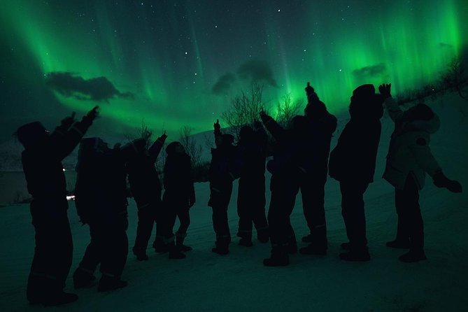 Northern Lights Big Bus Chase with Chasing Lights - What happens after the bus leaves Tromsø