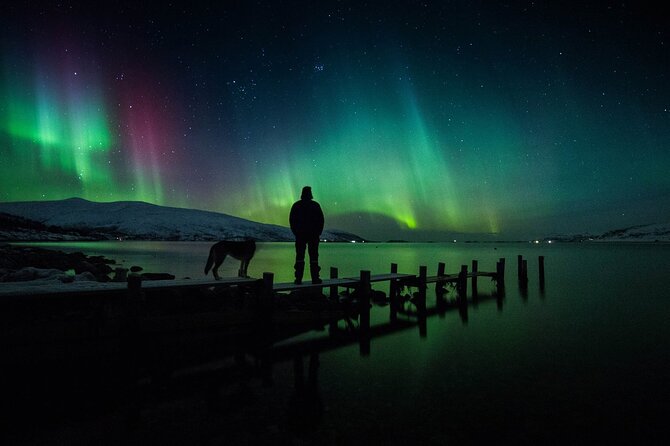 Northern Lights Big Bus Chase with Free Photos - What the $118.77 price really buys