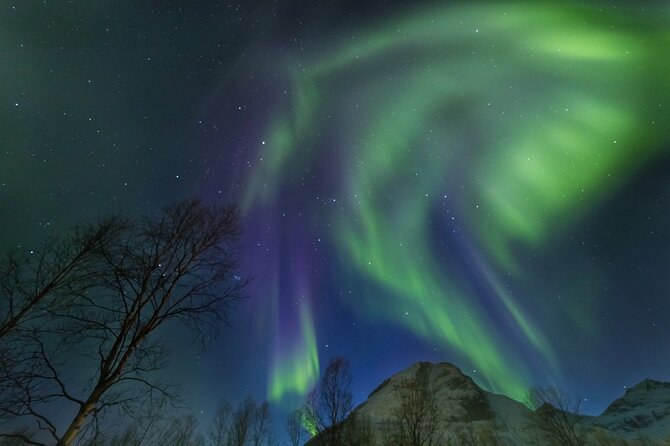 Northern Lights Chase by Bus in Tromso - What happens at the viewing stop