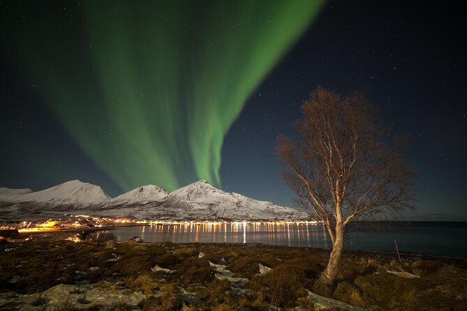Northern Lights Chase by Bus in Tromso - Is $128.88 a fair price?