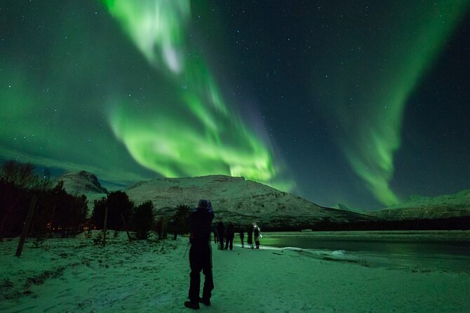Northern Lights Chase by Bus in Tromso - A big bus with a practical purpose