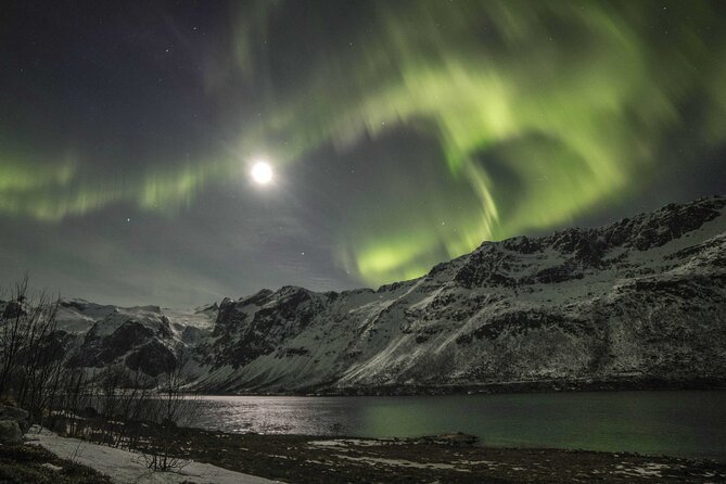 Northern Lights Chase with Photography from Tromsø - Cold, waiting, and the practical comforts
