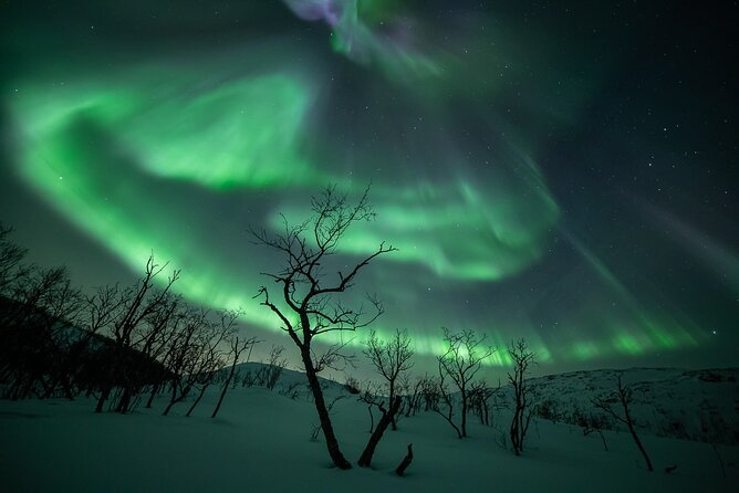 Northern Lights Expedition Tromsø - 6 people - Arctic Photo Guide - A Northern Lights chase, not a fixed sightseeing stop