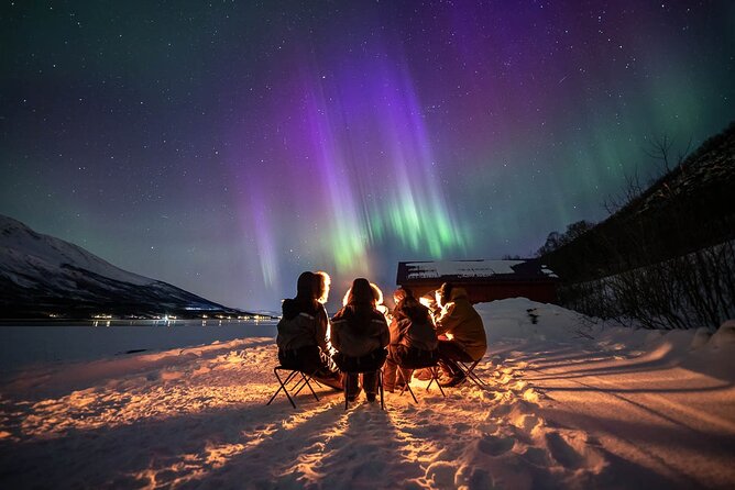 Northern Lights Expedition Tromsø - 6 people - Arctic Photo Guide - Leaving the road for a better view