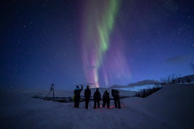 Northern Lights Expedition Tromsø - 6 people - Arctic Photo Guide - Photography with help from the guide