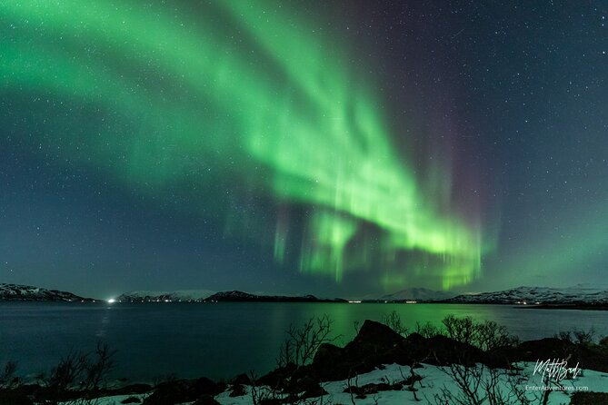 Northern Lights Guided Bus Tour with Free Photos - Leaving Tromsø at 6 pm