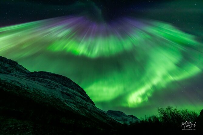 Northern Lights Guided Bus Tour with Free Photos - Weather, cancellations, and realistic expectations