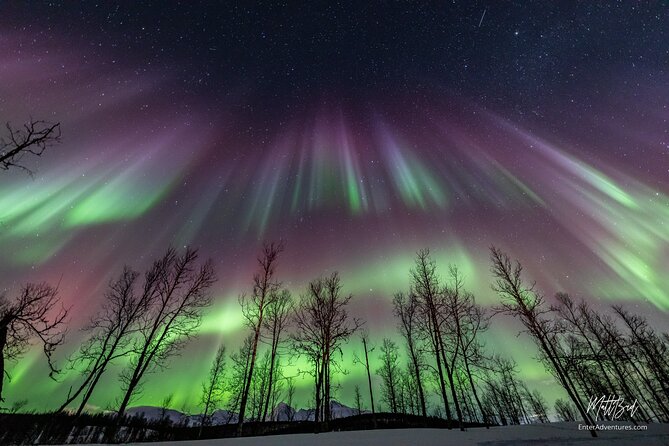 Northern Lights Guided Bus Tour with Free Photos - Waiting for the Aurora away from city lights