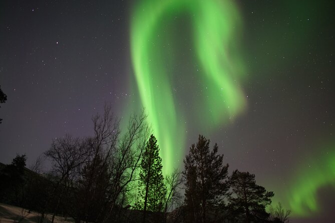 Northern Lights Hunt - Meeting at Havneveien 24 at 7:00 pm
